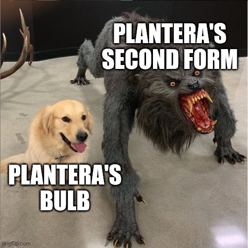 Image Title | PLANTERA'S SECOND FORM; PLANTERA'S BULB | image tagged in dog vs werewolf,terraria | made w/ Imgflip meme maker