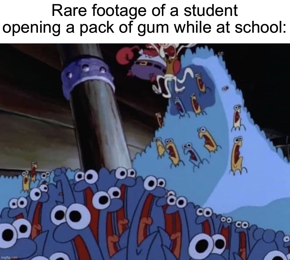 Everyone always asks for a piece! | Rare footage of a student opening a pack of gum while at school: | image tagged in memes,funny,true story,relatable memes,school,gum | made w/ Imgflip meme maker