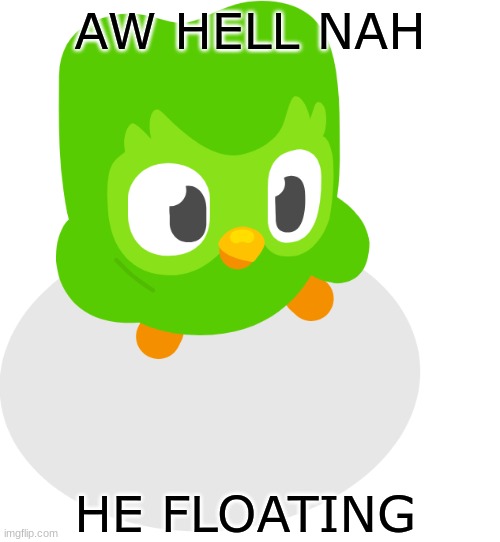 Oh no | AW HELL NAH; HE FLOATING | image tagged in duolingo,duolingo bird | made w/ Imgflip meme maker