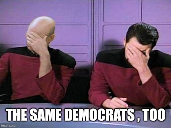 double palm | THE SAME DEMOCRATS , TOO | image tagged in double palm | made w/ Imgflip meme maker