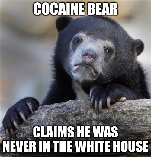 cocaine bear | COCAINE BEAR; CLAIMS HE WAS NEVER IN THE WHITE HOUSE | image tagged in memes,confession bear | made w/ Imgflip meme maker