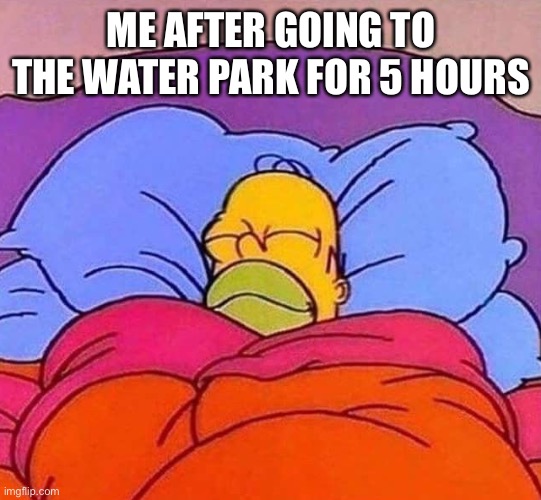 Homer Simpson sleeping peacefully | ME AFTER GOING TO THE WATER PARK FOR 5 HOURS | image tagged in homer simpson sleeping peacefully | made w/ Imgflip meme maker