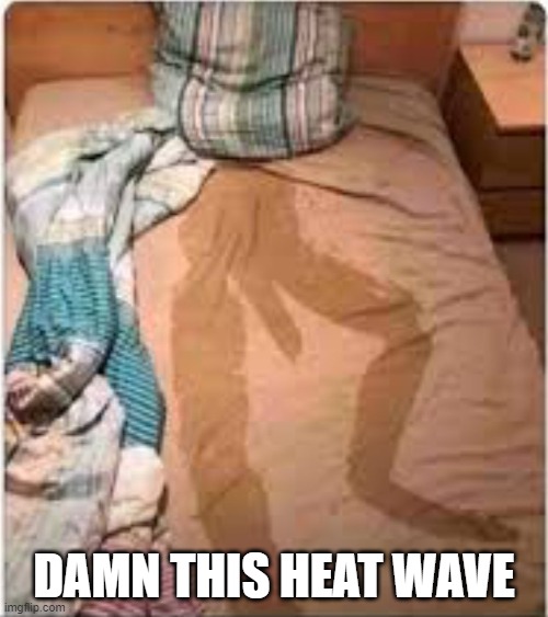 silent humidity | DAMN THIS HEAT WAVE | image tagged in heatwave | made w/ Imgflip meme maker