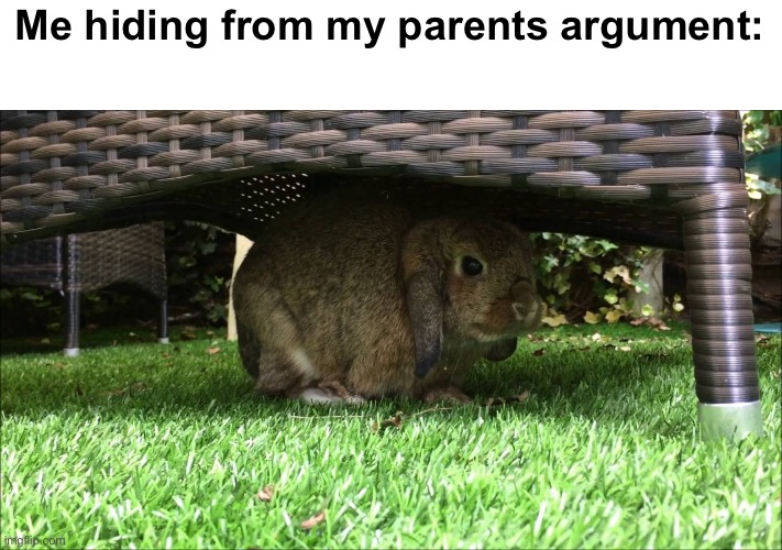 Facts | Me hiding from my parents argument: | image tagged in bunny hiding in the shade,funny,memes,funny memes,bunnies,rabbit | made w/ Imgflip meme maker