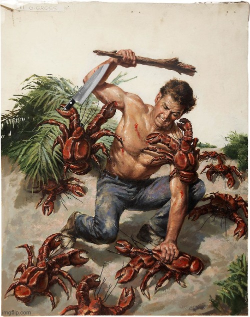 man fighting crabs | image tagged in man fighting crabs | made w/ Imgflip meme maker
