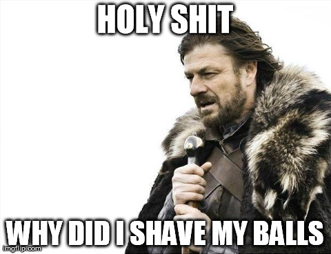 Brace Yourselves X is Coming | HOLY SHIT WHY DID I SHAVE MY BALLS | image tagged in memes,brace yourselves x is coming | made w/ Imgflip meme maker