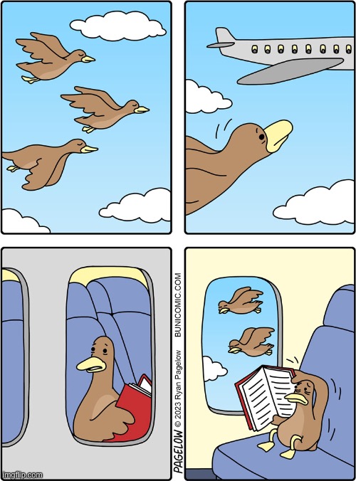 Catches an aeroplane | image tagged in duck takes flight,mates left,make their own way,comics | made w/ Imgflip meme maker