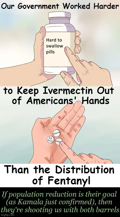Our Government Is Working Against Us | Our Government Worked Harder; to Keep Ivermectin Out 
of Americans' Hands; Than the Distribution 
of Fentanyl; If population reduction is their goal 
(as Kamala just confirmed), then 
they're shooting us with both barrels | image tagged in hard to swallow pills,ivermectin,fentanyl,population control,government corruption,politics | made w/ Imgflip meme maker