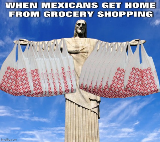 image tagged in shopping,groceries,jesus,mexicans,grocery bags,target | made w/ Imgflip meme maker