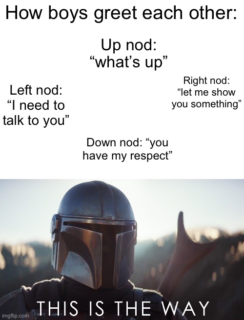Idk every boy just knows it | How boys greet each other:; Up nod: “what’s up”; Right nod: “let me show you something”; Left nod: “I need to talk to you”; Down nod: “you have my respect” | image tagged in blank white template,boys | made w/ Imgflip meme maker