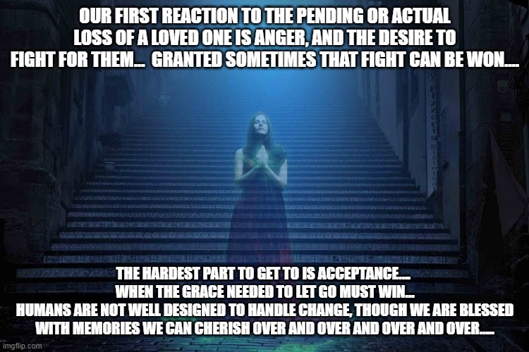 OUR FIRST REACTION TO THE PENDING OR ACTUAL LOSS OF A LOVED ONE IS ANGER, AND THE DESIRE TO FIGHT FOR THEM…  GRANTED SOMETIMES THAT FIGHT CAN BE WON…. THE HARDEST PART TO GET TO IS ACCEPTANCE….  WHEN THE GRACE NEEDED TO LET GO MUST WIN…
HUMANS ARE NOT WELL DESIGNED TO HANDLE CHANGE, THOUGH WE ARE BLESSED WITH MEMORIES WE CAN CHERISH OVER AND OVER AND OVER AND OVER….. | made w/ Imgflip meme maker