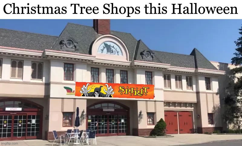 Finally, a Christmas store doing Halloween! | Christmas Tree Shops this Halloween | image tagged in christmas tree shops,spirit halloween,memes | made w/ Imgflip meme maker