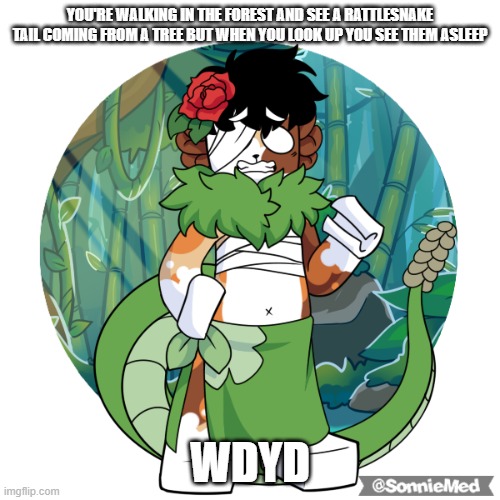 rules in tags | YOU'RE WALKING IN THE FOREST AND SEE A RATTLESNAKE TAIL COMING FROM A TREE BUT WHEN YOU LOOK UP YOU SEE THEM ASLEEP; WDYD | image tagged in no ignoring him,no hurting him,no bambie or joke ocs | made w/ Imgflip meme maker