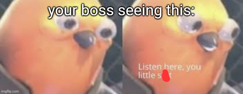Listen here you little shit bird | your boss seeing this: | image tagged in listen here you little shit bird | made w/ Imgflip meme maker
