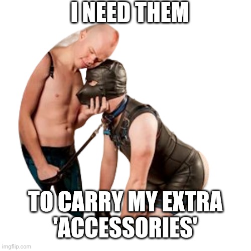 Sam-Brinton | I NEED THEM TO CARRY MY EXTRA
'ACCESSORIES' | image tagged in sam-brinton | made w/ Imgflip meme maker