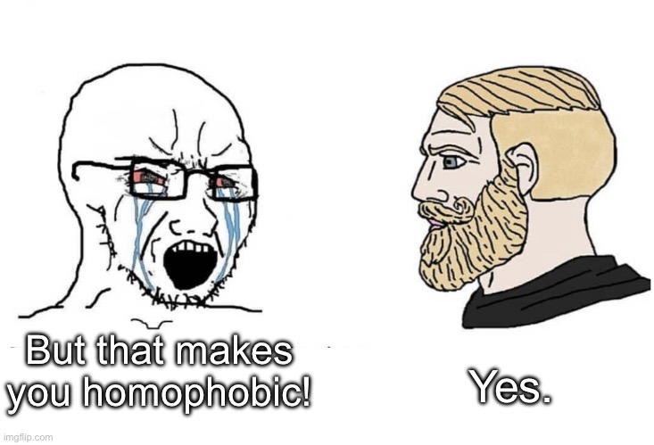 Soyboy Vs Yes Chad | But that makes you homophobic! Yes. | image tagged in soyboy vs yes chad | made w/ Imgflip meme maker