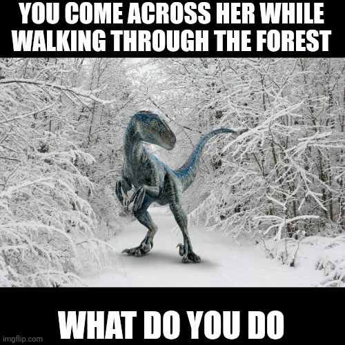 Snowy forest | YOU COME ACROSS HER WHILE WALKING THROUGH THE FOREST; WHAT DO YOU DO | image tagged in snowy forest,blue,velociraptor,roleplaying | made w/ Imgflip meme maker