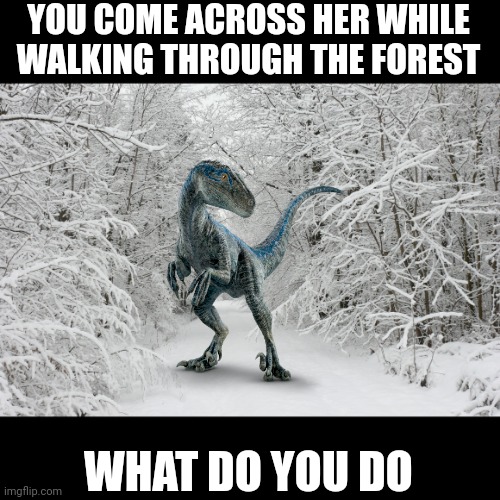 Jurassic World roleplay | YOU COME ACROSS HER WHILE WALKING THROUGH THE FOREST; WHAT DO YOU DO | image tagged in snowy forest,jurassic world,velociraptor,blue | made w/ Imgflip meme maker