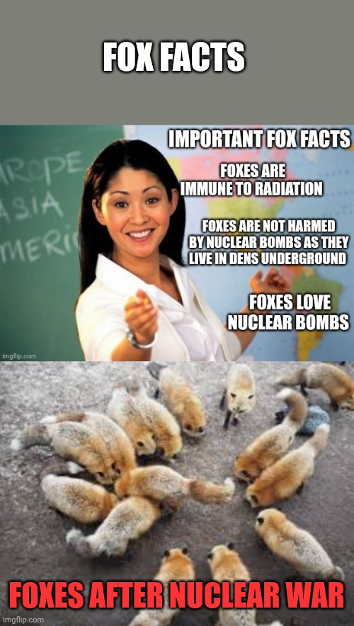 Foxes will survive | FOX FACTS; FOXES AFTER NUCLEAR WAR | image tagged in foxes,love,nuclear bomb | made w/ Imgflip meme maker