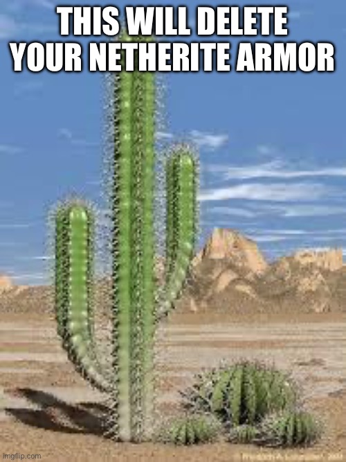 cactus | THIS WILL DELETE YOUR NETHERITE ARMOR | image tagged in cactus | made w/ Imgflip meme maker