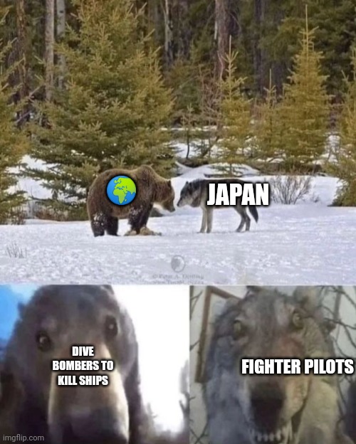 bear vs wolf | 🌍; JAPAN; DIVE BOMBERS TO KILL SHIPS; FIGHTER PILOTS | image tagged in bear vs wolf | made w/ Imgflip meme maker