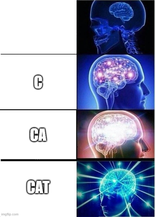 everything cat | C; CA; CAT | image tagged in memes,expanding brain | made w/ Imgflip meme maker