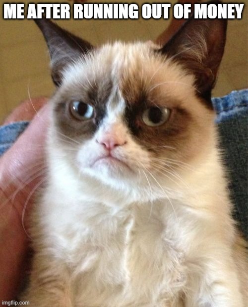 Grumpy Cat Meme | ME AFTER RUNNING OUT OF MONEY | image tagged in memes,grumpy cat | made w/ Imgflip meme maker