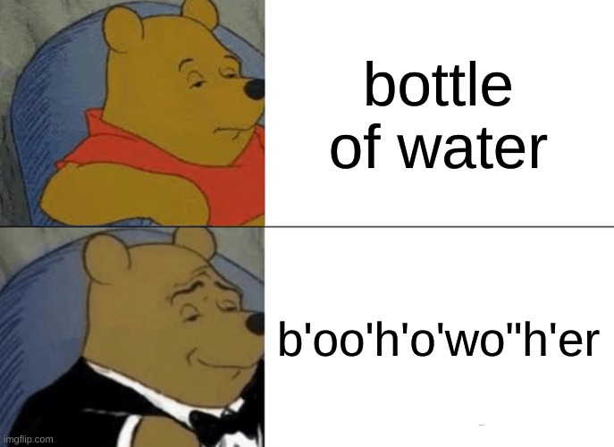 Tuxedo Winnie The Pooh Meme | bottle of water; b'oo'h'o'wo"h'er | image tagged in memes,tuxedo winnie the pooh | made w/ Imgflip meme maker