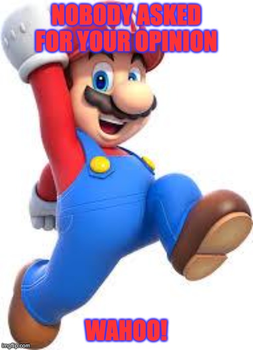 mario | NOBODY ASKED FOR YOUR OPINION WAHOO! | image tagged in mario | made w/ Imgflip meme maker