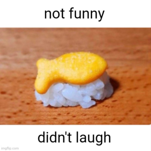 Not funny didn't laugh goldfish sushie | image tagged in not funny didn't laugh goldfish sushie | made w/ Imgflip meme maker