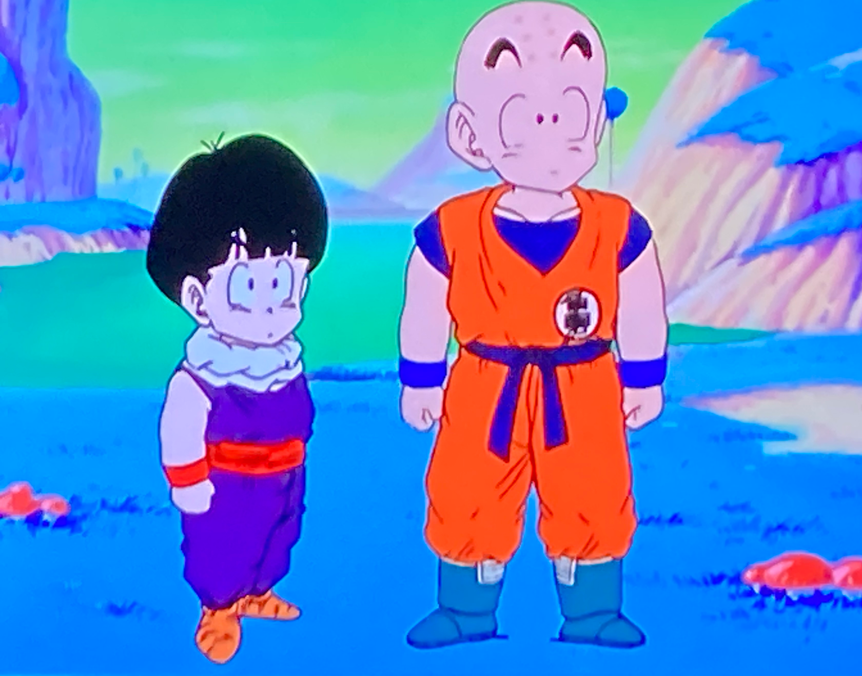 Krillin And Gohan confused Blank Meme Template