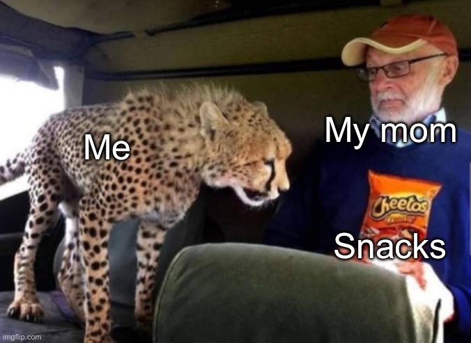 Cheetah wants Cheetos | My mom; Me; Snacks | image tagged in cheetah wants cheetos | made w/ Imgflip meme maker