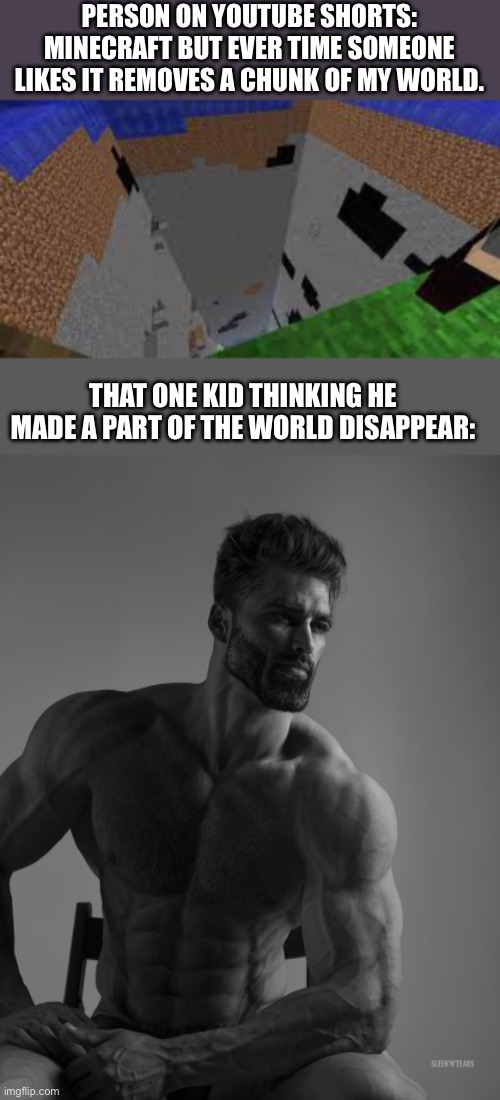 This has got to be true | PERSON ON YOUTUBE SHORTS: MINECRAFT BUT EVER TIME SOMEONE LIKES IT REMOVES A CHUNK OF MY WORLD. THAT ONE KID THINKING HE MADE A PART OF THE WORLD DISAPPEAR: | image tagged in giga chad,funny | made w/ Imgflip meme maker