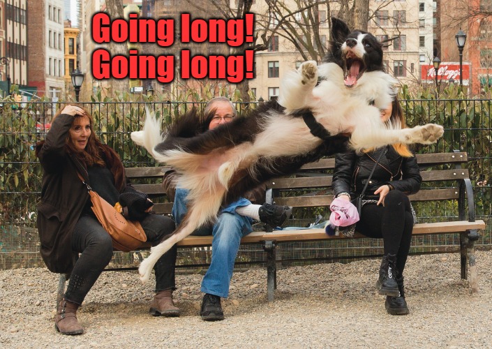 Going long! Going long! | made w/ Imgflip meme maker