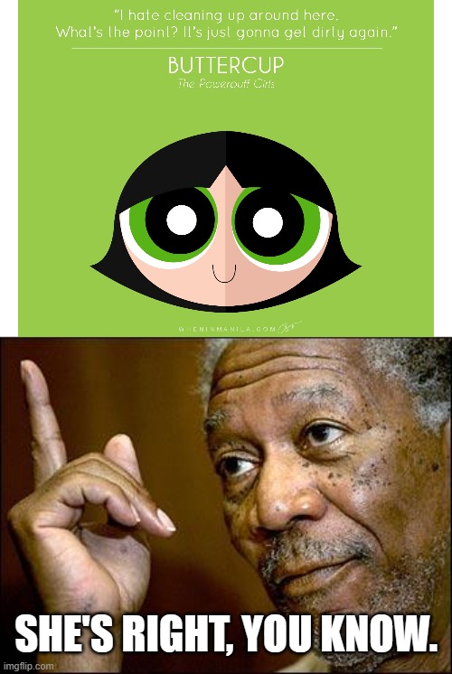 Buttercup be speakin' facts! | SHE'S RIGHT, YOU KNOW. | image tagged in this morgan freeman,the powerpuff girls,buttercup,cleaning | made w/ Imgflip meme maker