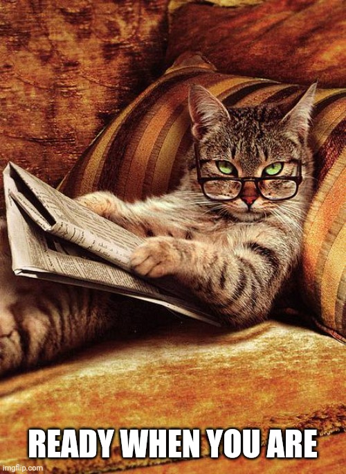 cat reading | READY WHEN YOU ARE | image tagged in cat reading | made w/ Imgflip meme maker