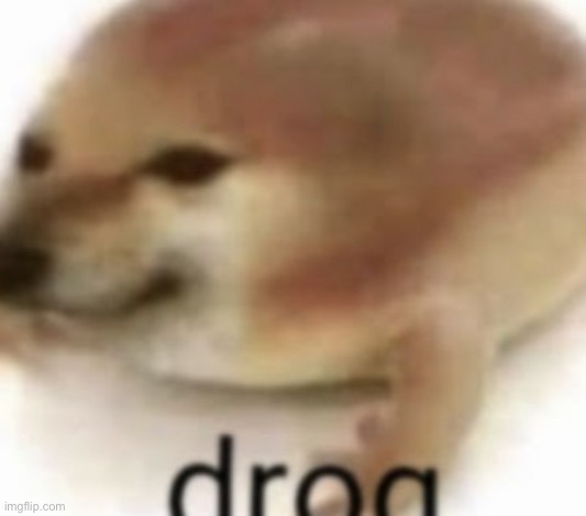 Drog | image tagged in drog | made w/ Imgflip meme maker