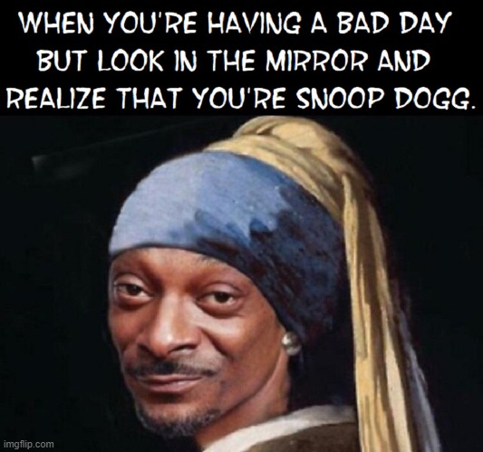 Well... it's possible, you know. | image tagged in vince vance,snoop dogg,classical art,johannes,dutch,painter | made w/ Imgflip meme maker