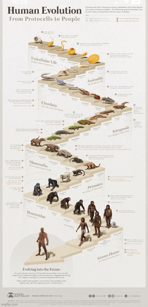 This is quite fascinating | made w/ Imgflip meme maker