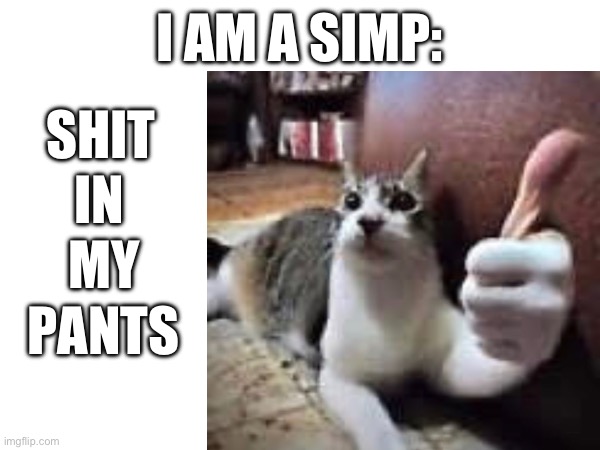 I AM A SIMP:; SHIT; IN; MY; PANTS | made w/ Imgflip meme maker