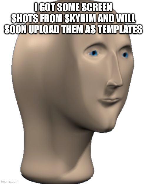 Meme Man | I GOT SOME SCREEN SHOTS FROM SKYRIM AND WILL SOON UPLOAD THEM AS TEMPLATES | image tagged in meme man | made w/ Imgflip meme maker