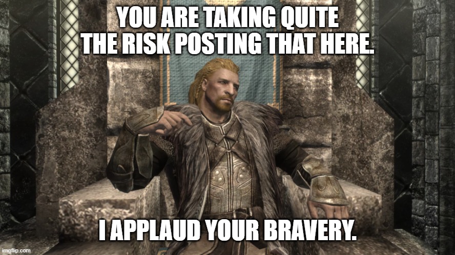 Ulfric | YOU ARE TAKING QUITE THE RISK POSTING THAT HERE. I APPLAUD YOUR BRAVERY. | image tagged in ulfric | made w/ Imgflip meme maker