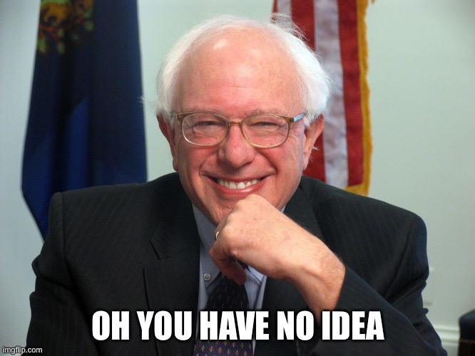 Vote Bernie Sanders | OH YOU HAVE NO IDEA | image tagged in vote bernie sanders | made w/ Imgflip meme maker