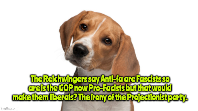 Projection | The Reichwingers say Anti-fa are Fascists so are is the GOP now Pro-Facists but that would make them liberals? The irony of the Projectionist party. | image tagged in maga,gop,republicans | made w/ Imgflip meme maker