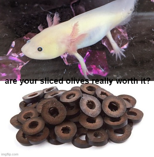 are your sliced olives really worth it? | made w/ Imgflip meme maker