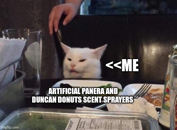 Nothing is natural about Dunkin donuts or Panera | <<ME; ARTIFICIAL PANERA AND DUNCAN DONUTS SCENT SPRAYERS | image tagged in salad cat | made w/ Imgflip meme maker