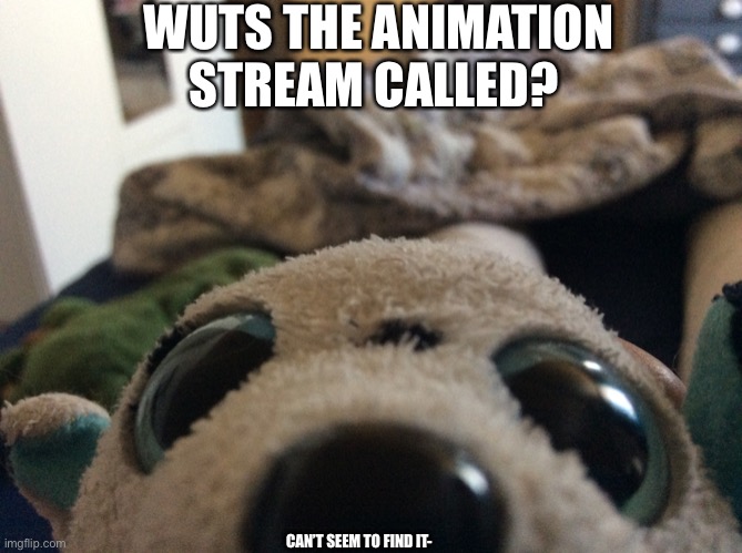 Plez | WUTS THE ANIMATION STREAM CALLED? CAN’T SEEM TO FIND IT- | image tagged in puppy all up in yo face | made w/ Imgflip meme maker