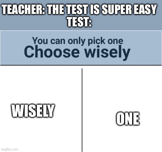 you can pick only one choose wisely | TEACHER: THE TEST IS SUPER EASY
TEST:; WISELY; ONE | image tagged in you can pick only one choose wisely | made w/ Imgflip meme maker