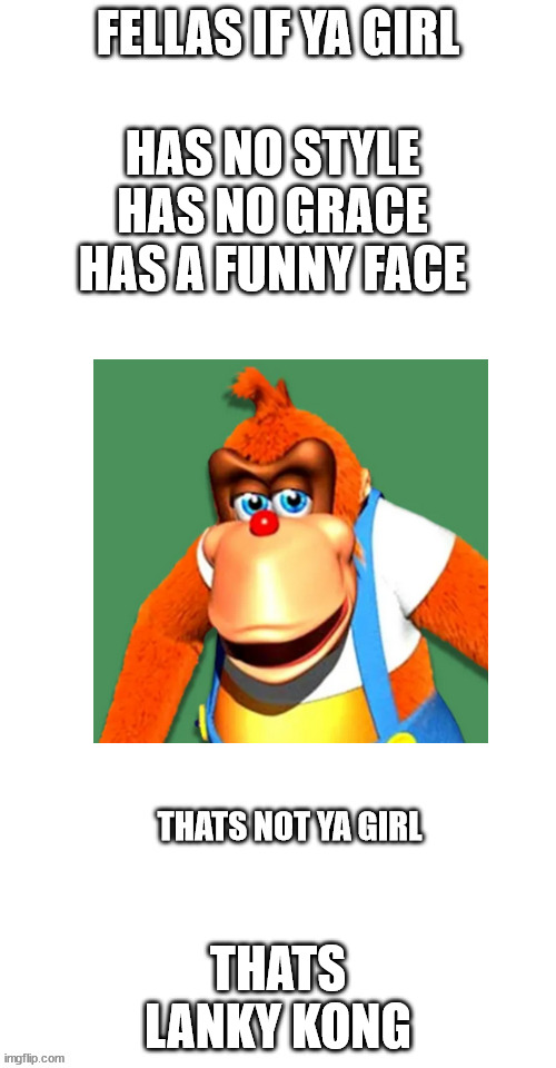 he has no style, he has no grace, this kong has a funny face | HAS NO STYLE
HAS NO GRACE
HAS A FUNNY FACE; THATS LANKY KONG | image tagged in fellas if your girl | made w/ Imgflip meme maker