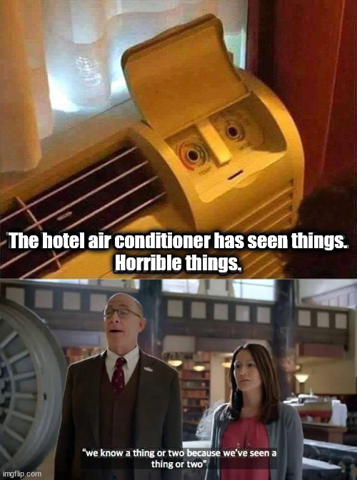 The hotel air conditioner has seen things.
Horrible things. | image tagged in we know a thing or two because we've seen a thing or two | made w/ Imgflip meme maker